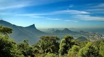 Mata Atlântica: Um Patrimônio Natural. Veja as maiores curiosidades