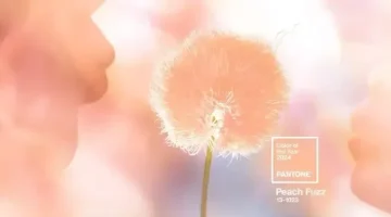 Peach Fuzz: A Cor de 2024 da Pantone e Suas Combinações